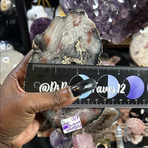 Petrified Wood & Calcite Specimen - Picture 8 of 9
